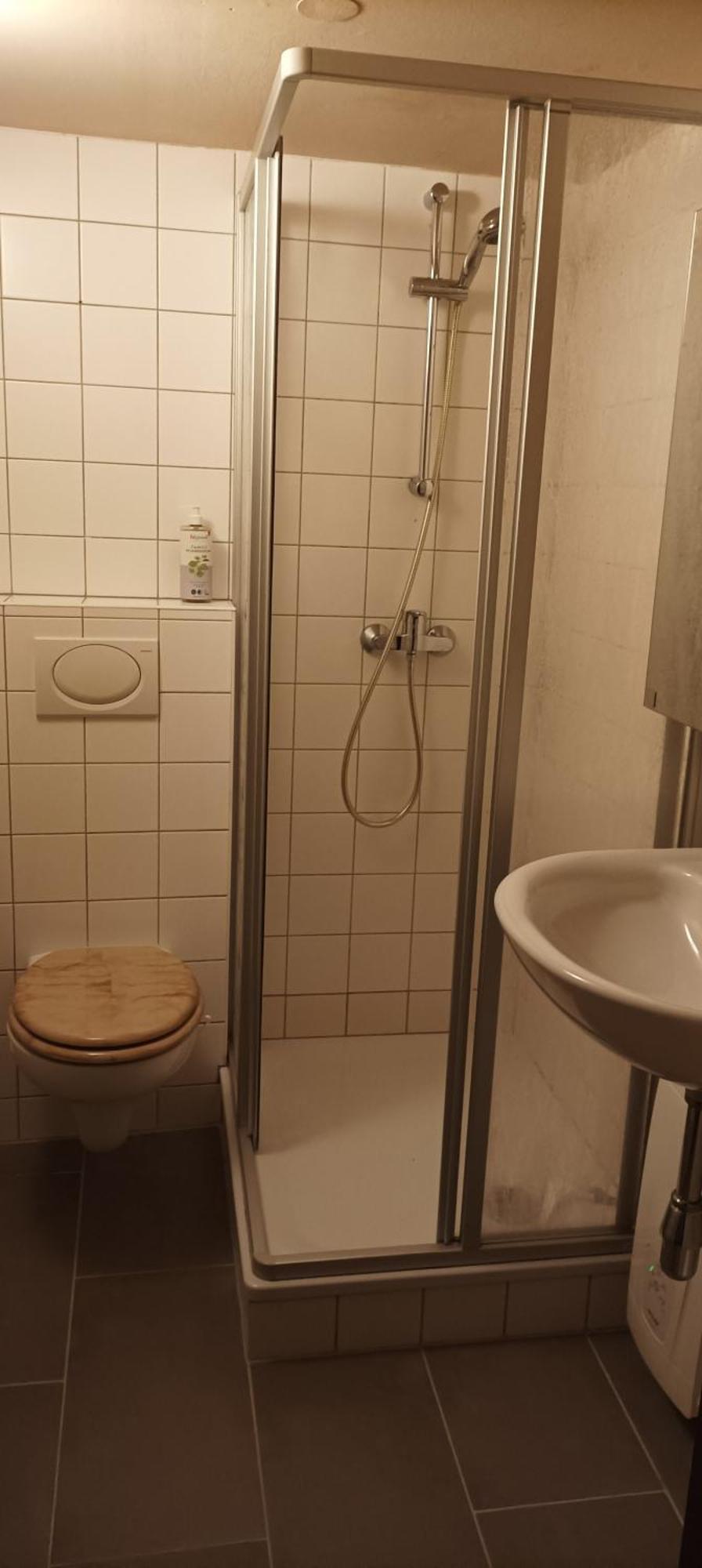 Altmuehle Apartment Altlengbach Екстериор снимка